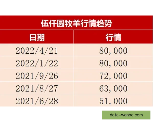 世界杯竞猜赔率对比分析与投注技巧趋势深度解读指南全面系统策略